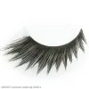 Black Peaked Eyelashes 2 Black Peaked Eyelashes -Magic Costume Store 60435