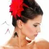 Black And Red Hair Clip 2 Black And Red Hair Clip -Magic Costume Store 68520