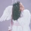 Angel Wings